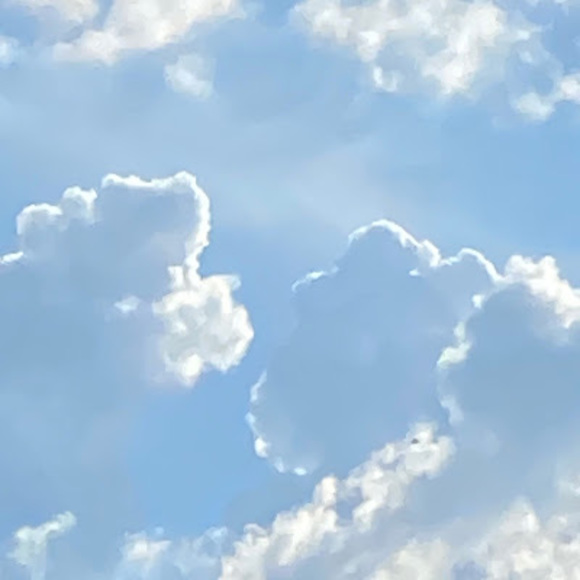 Meet your Posher, Gabi - Picture 1 of 1